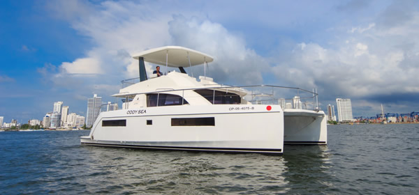 Leopard 40